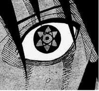 Vetoki