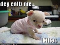 DrowningPuppy