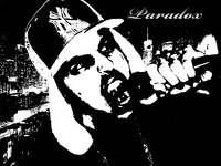 Paradoxins