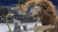 yellowlion7
