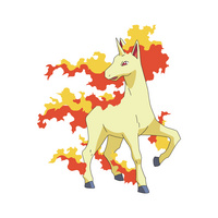 .:Rapidash:.