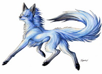 cadet_wolfie