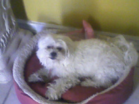 sammy8906