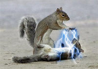 MrFuzzyNuts