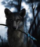 wolfski