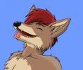 rawr_wolf