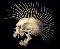lammaza