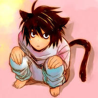 Sin Kitten