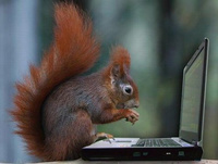 KynoMcSquirrel