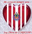 Chivista529