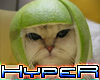 Hyper Kitten