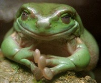 masterfrogs