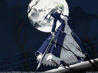 Midnight Assassin