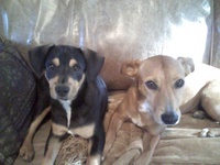 jngrah02