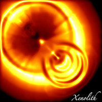 Xenolith