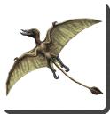 Rhamphorhynchus