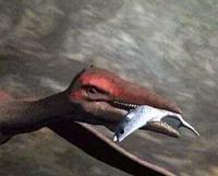Eudimorphodon's Avatar