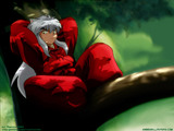 XxXDarkHavenAngelXxX