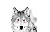 Dreagthe9