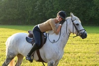 horses27