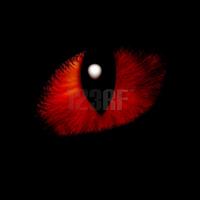 lightwolf1313