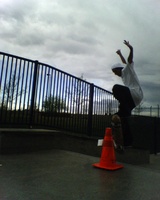 vans all day