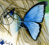 Angel59936