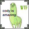 I1I CODY I1I