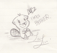 beaver228