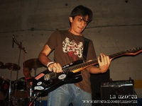 kapo31