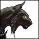 ChaosWolf92