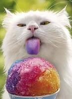 Colors-'s Avatar