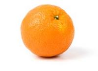 x_orangebird_x