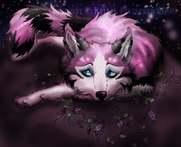 PinkWolfsTheBand