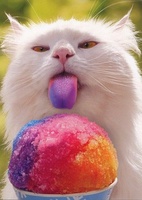 nihilisticcookie