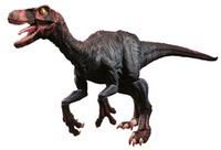 FireRaptor