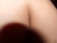 Donkspik