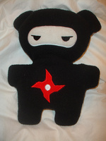 ninja teddie