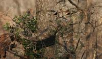 Deer Slayer