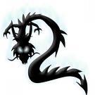 dragnchasr15