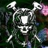 Stevefox15