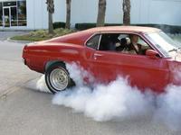 mustang__7
