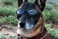 DTShady's Avatar