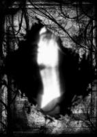 DORIShinigami