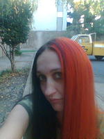 Beeluved_2003