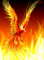Phoenix_Harmony