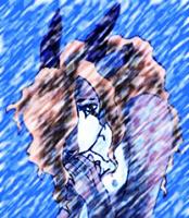 Shaka_Gazette