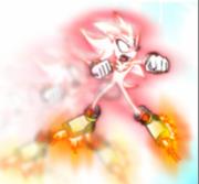 hedgehog666