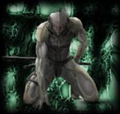 F.O.T.N_Raiden