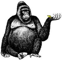 qweaszxcdf